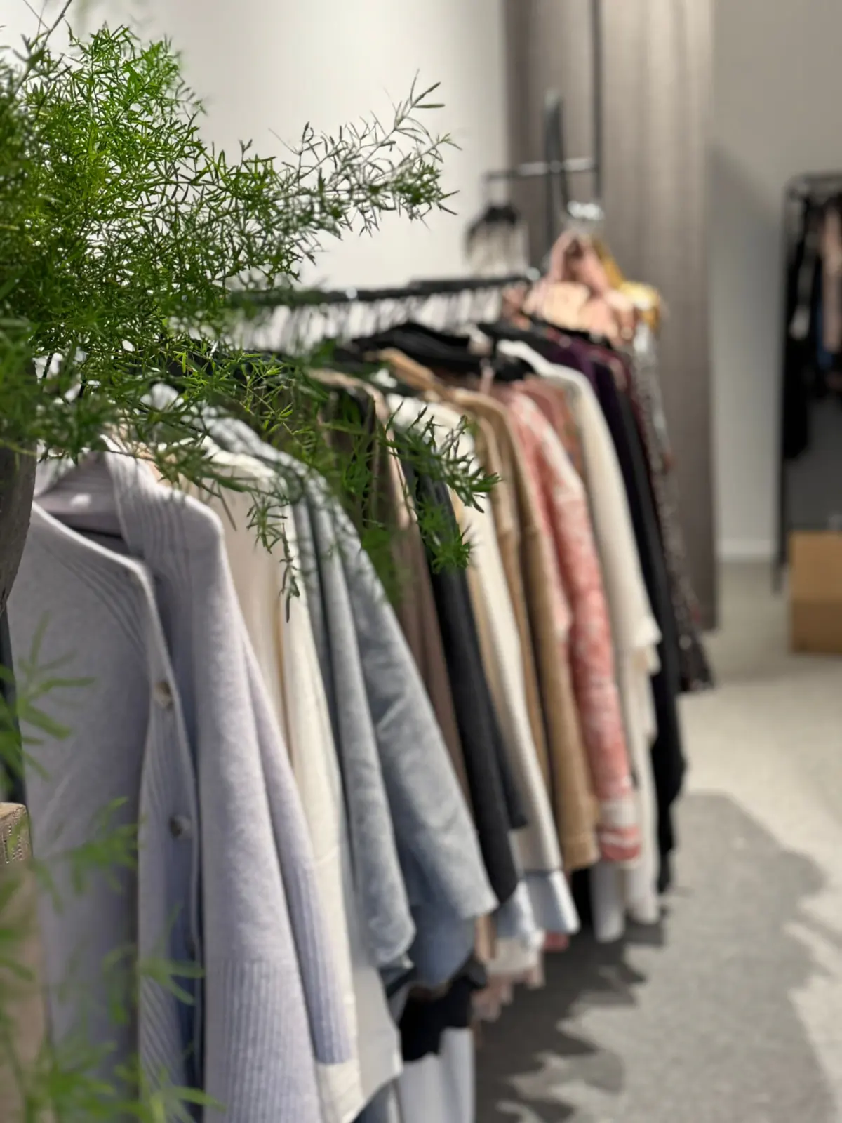 Rayon homewear et lingerie en boutique