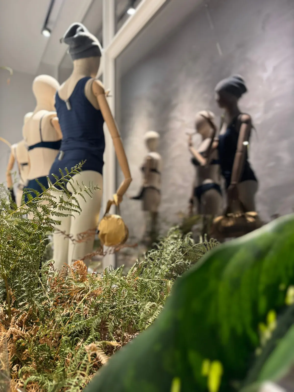 Vitrine lingerie végétalisée Maison An-Sophie Nélis